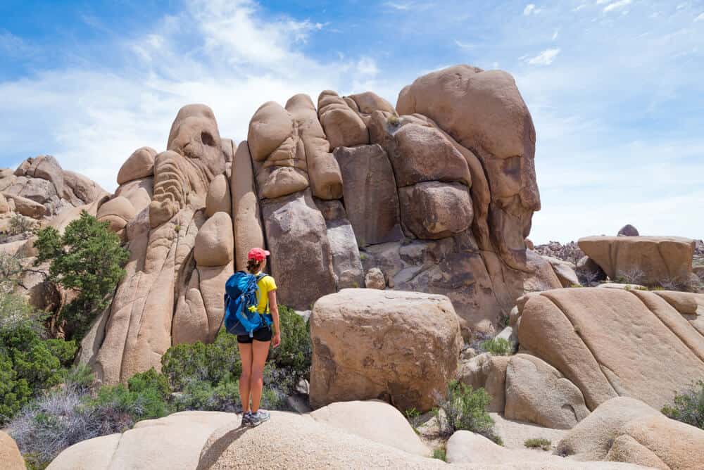 hiker visiting Joshua tree and looking at a rock formation in the park