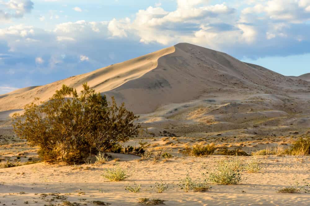 Kelso dunes In Mojave national preserve