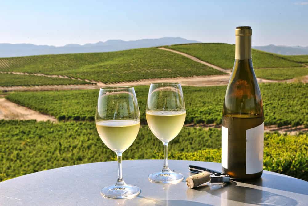 Two glasses of white wine with the rolling vineyards in the background