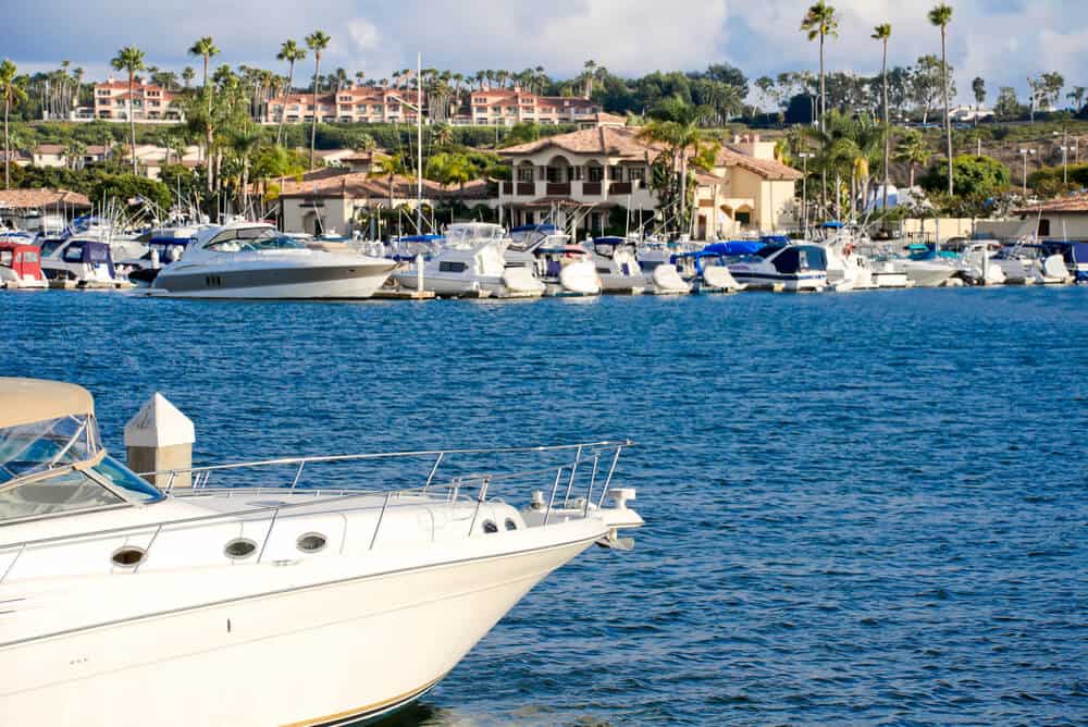 Boats in the marina at Newport Beach, with houses and buildings on the shoreline and palm trees.