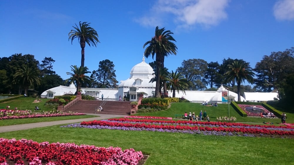 A white building in front of steps with green grass and pink and red blossoming flowers in spring in California