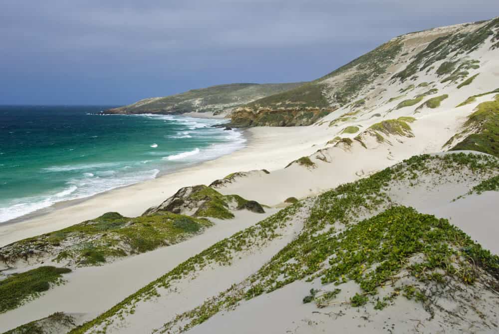 Beautiful white sand beach with green shrubs on the beach, meeting a blue and turquoise ocean on a slightly foggy day.