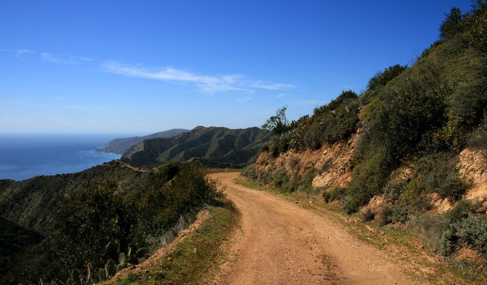 Dirt road on Catalina island with rugged shrubbery and ocean to the left side