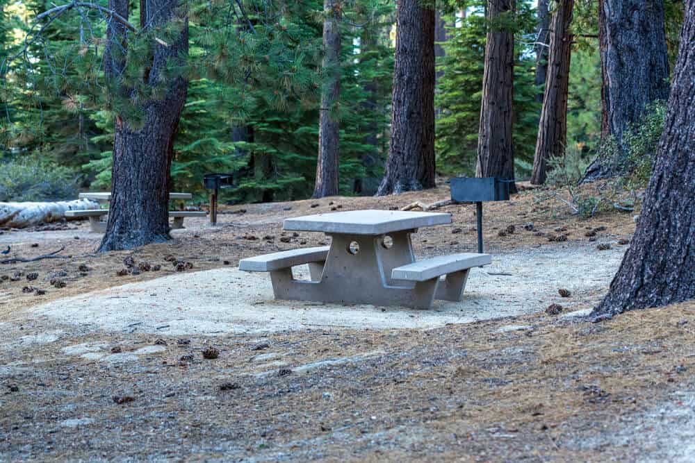 Stone picnic table next to a grill in the Tahoe forest surrounded by pines with pine cones scattered on the ground at a popular Tahoe campgrounds.