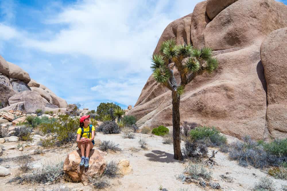 Woman in red hat and yellow shirt looking at a Joshua tree with large rocks in the background and a mostly blue sky.