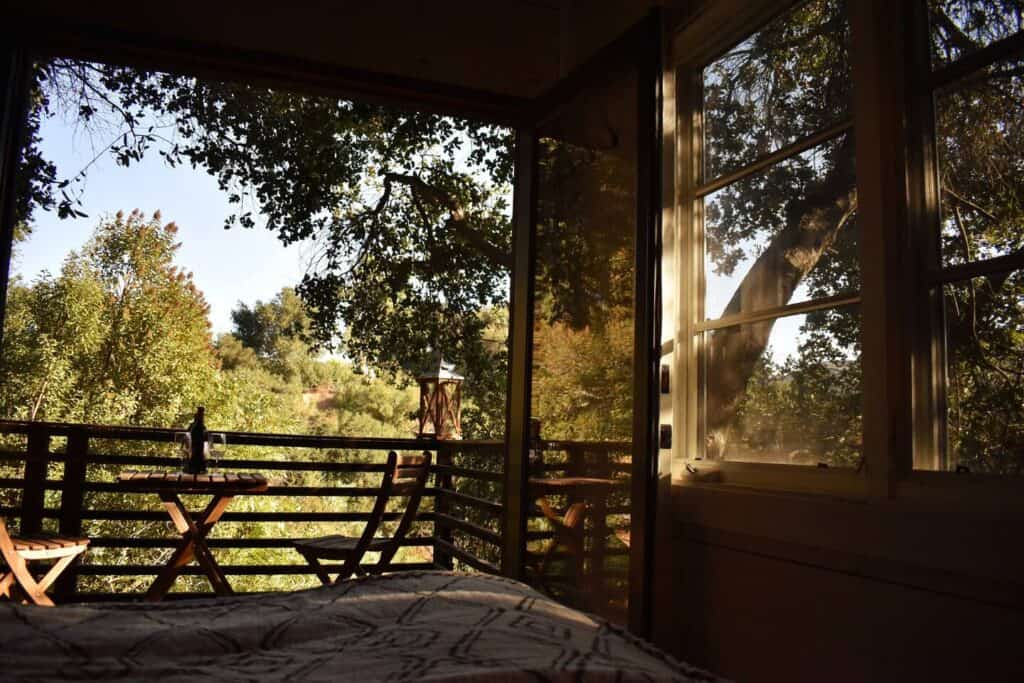 View from the bed of trees and a small table on the balcony from a California treehouse