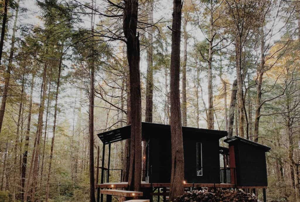 A trendy black treehouse surrounded by forest in Northern California