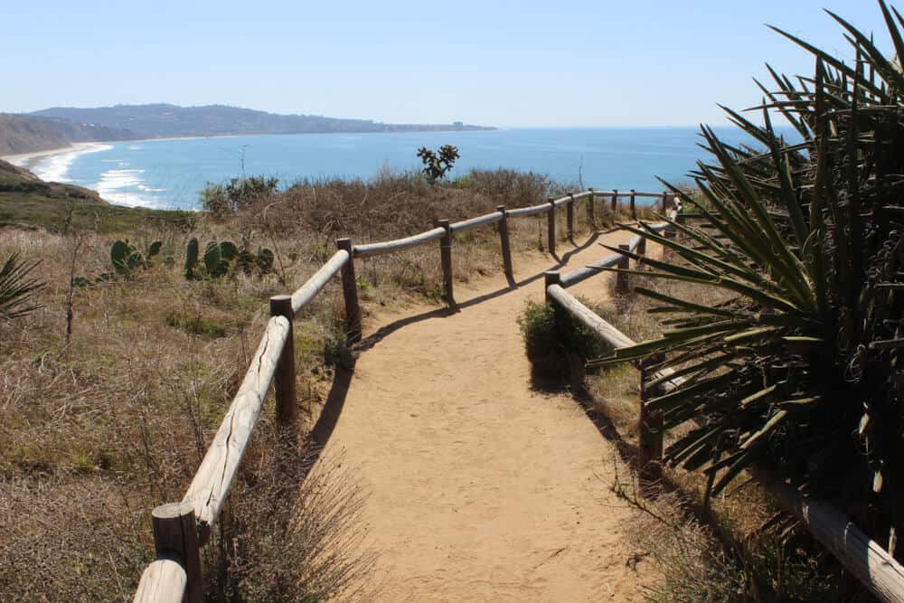 Scenic view along the Beach Trail in San Diego's Torrey Pines State Reserve on a beautiful sunny day
