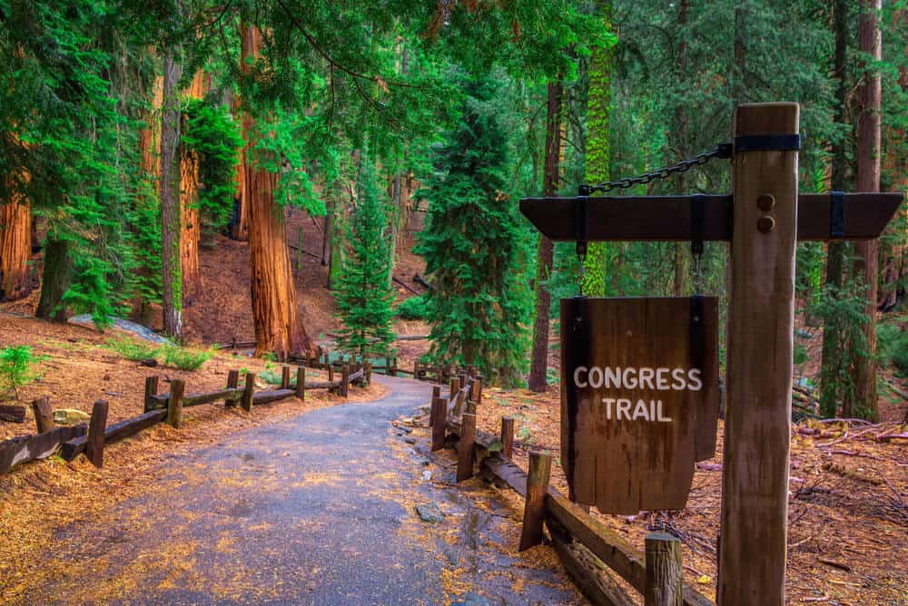 The 17 Best Hikes in Sequoia National Park California Crossroads