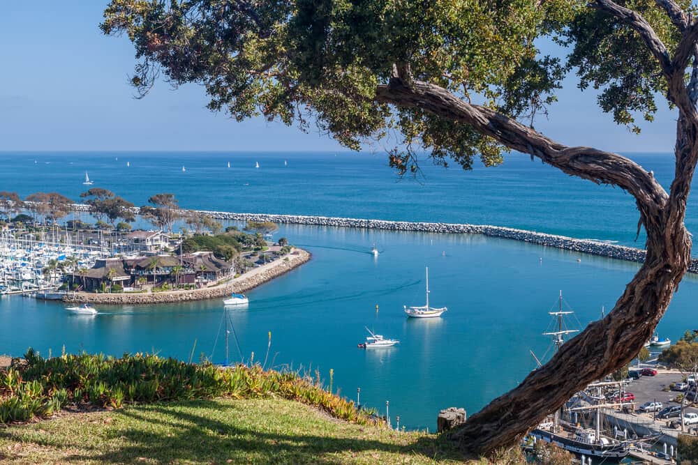 A peaceful harbor with a few small boats and sailboats in it.