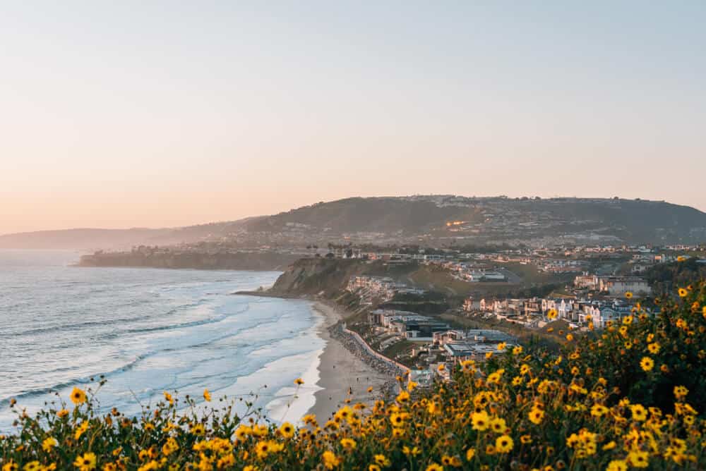 Things To Do In Dana Point CA