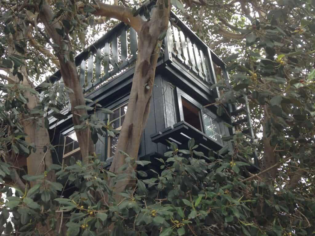 Gray-green treehouse surrounded by leaves and branches for rent on Airbnb