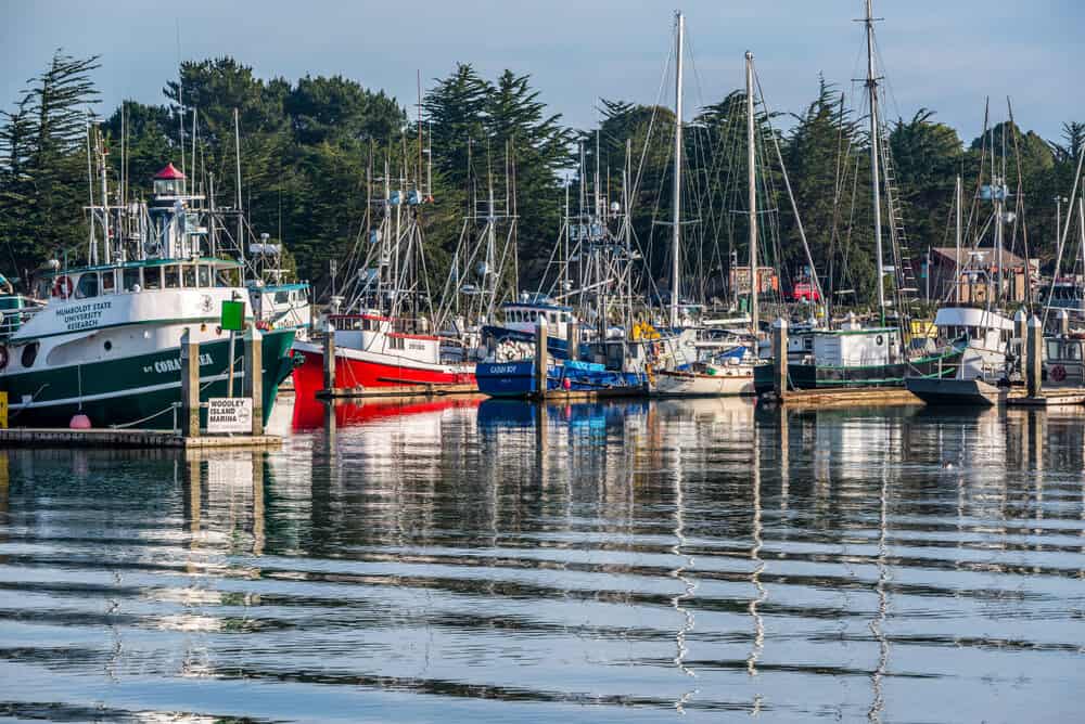 Several boats in the harbor with rippling water at the Eureka Harbor, walking there is a popular thing to do in Eureka