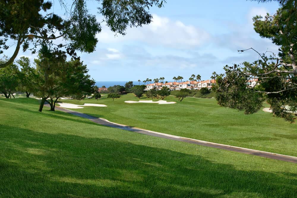 Green grass on a golf course with white houses with red roofs in the background with palm trees and distant ocean on the horizon.