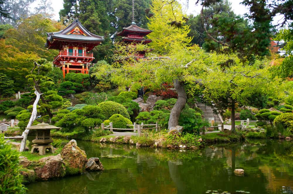 Green oasis in the Japanese Garden in the Golden Gate Park, with red Japanese pagodas emerging from the green spaces.