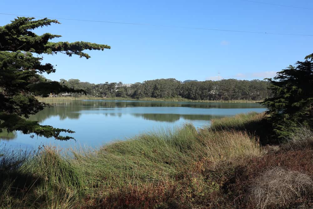 Grasslands around a peaceful tranquil blue Lake, lake Merced, on a little known hike in San Francisco