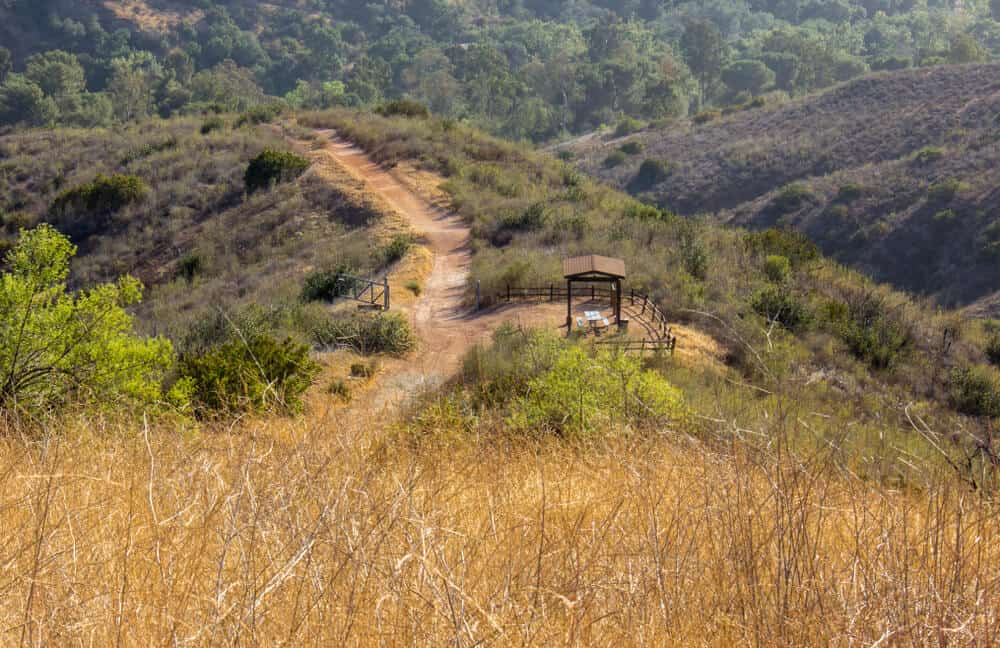 A hike in the Santiago Oaks Regional Park in Anaheim, California, amidst yellow grass and green trees with a view of a trail and a picnic table in the distance.