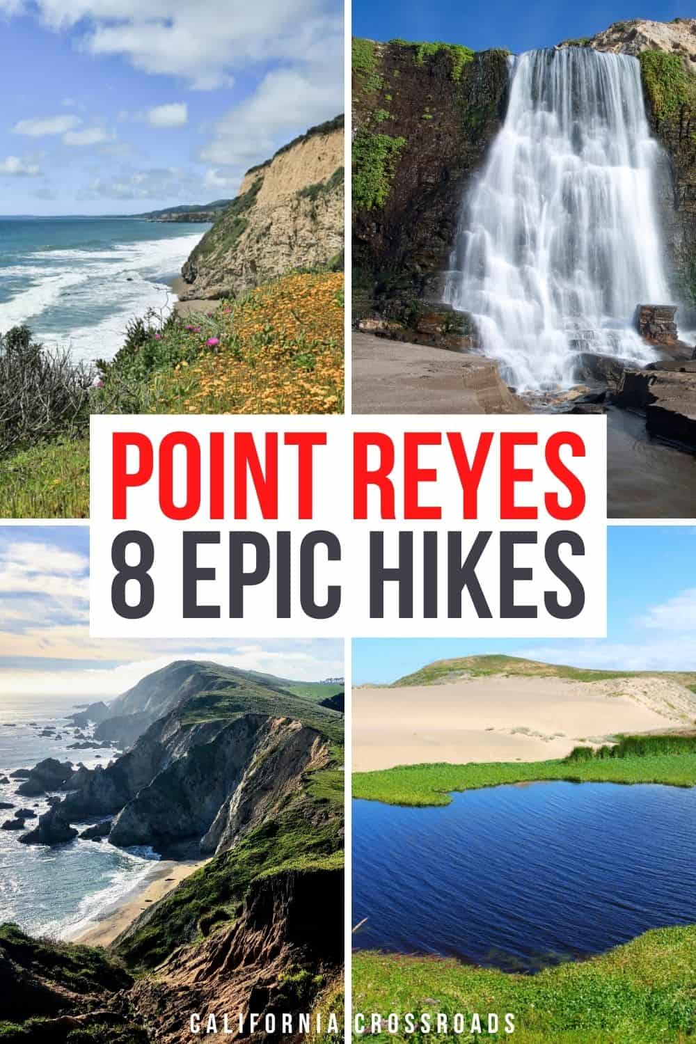 The 8 Best Hikes in Point Reyes - Point Reyes Hikes