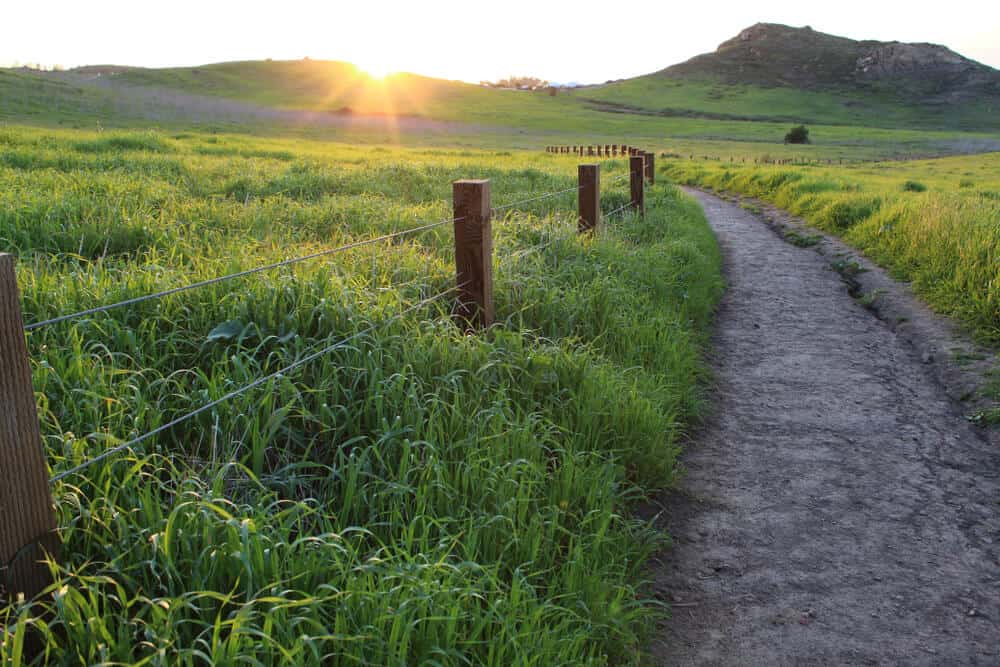 View of a hiking path on Quail Loop Hill, surrounded by green grass, fence posts, and hills with a setting sun on the horizon.