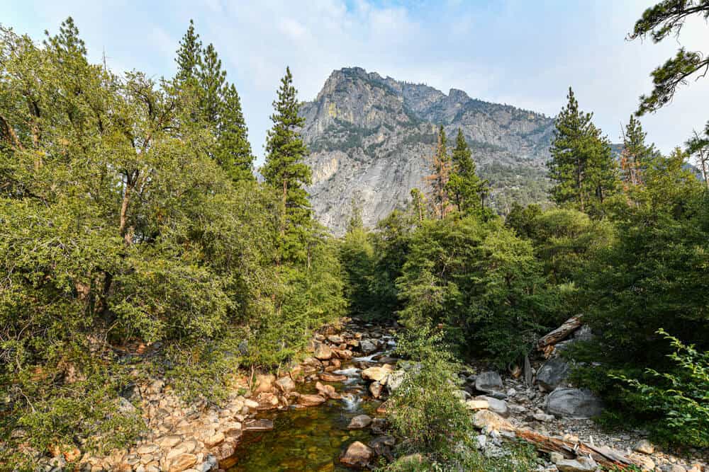 Scenery at Roads End section of Kings Canyon National Park, where you can embark on several Kings canyon hikes. Green trees, granite, and river.