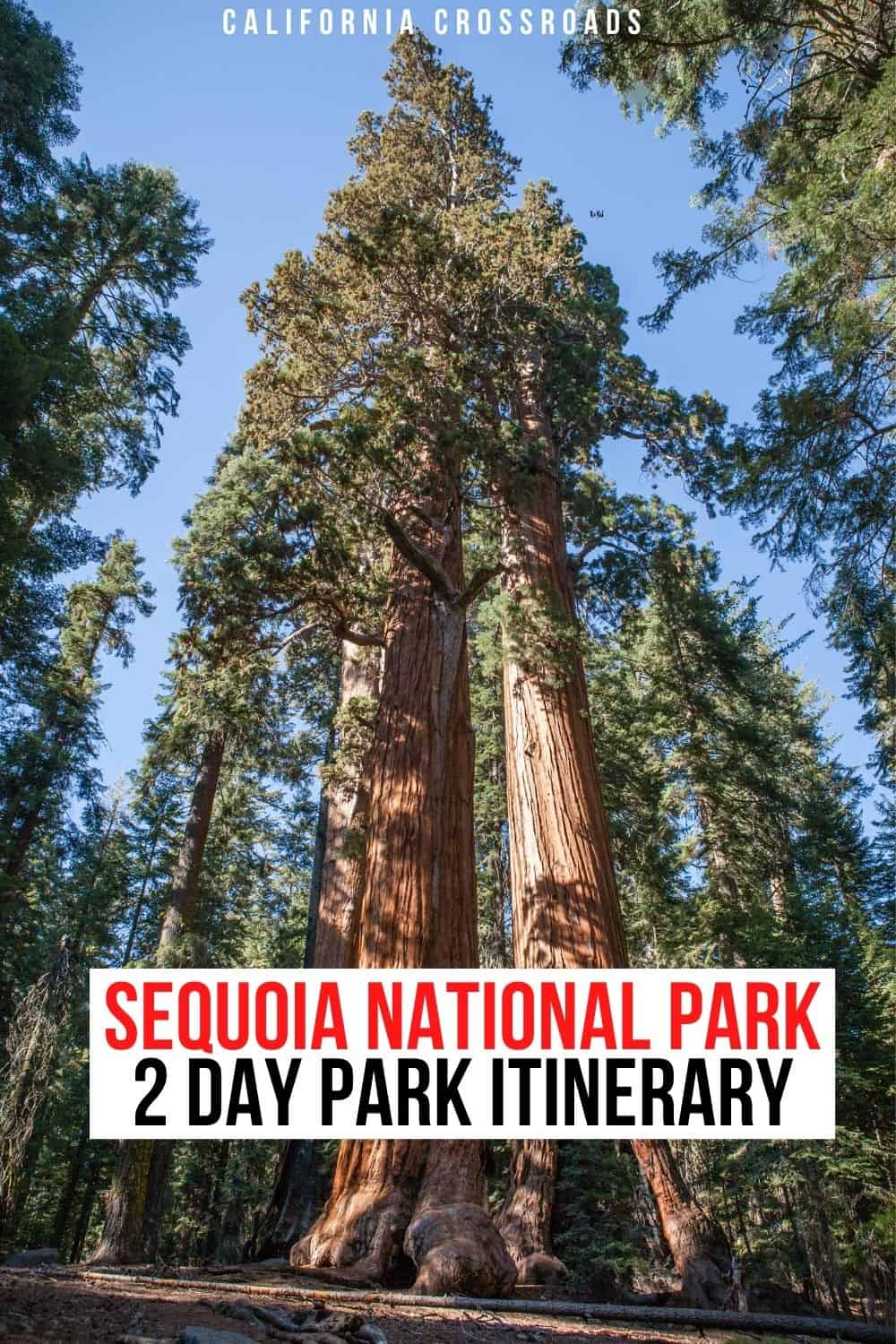 2 Days in Sequoia National Park: Itinerary for a Perfect Weekend