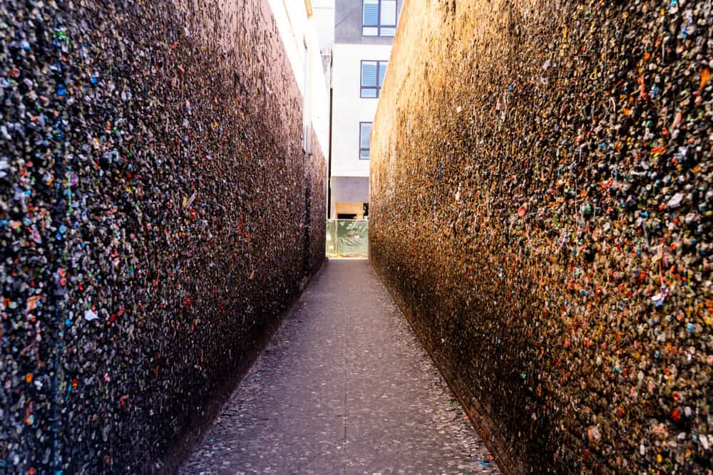 the bubblegum alley of san luis obispo with lots of chewed up gum on the walls