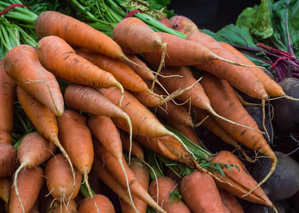 Bunches of orange carrots next to bunches of purple-red beets at a local farmers market in San Luis Obispo.