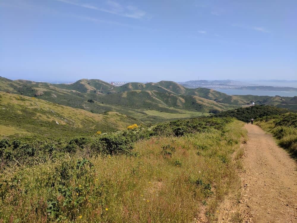 Tennessee Valley Hiking Trail: a reddish gravely trail surrounded by green brush and hills with the skyline of San Francisco is the distance as well as the San Francisco Bay on a popular North Bay hike