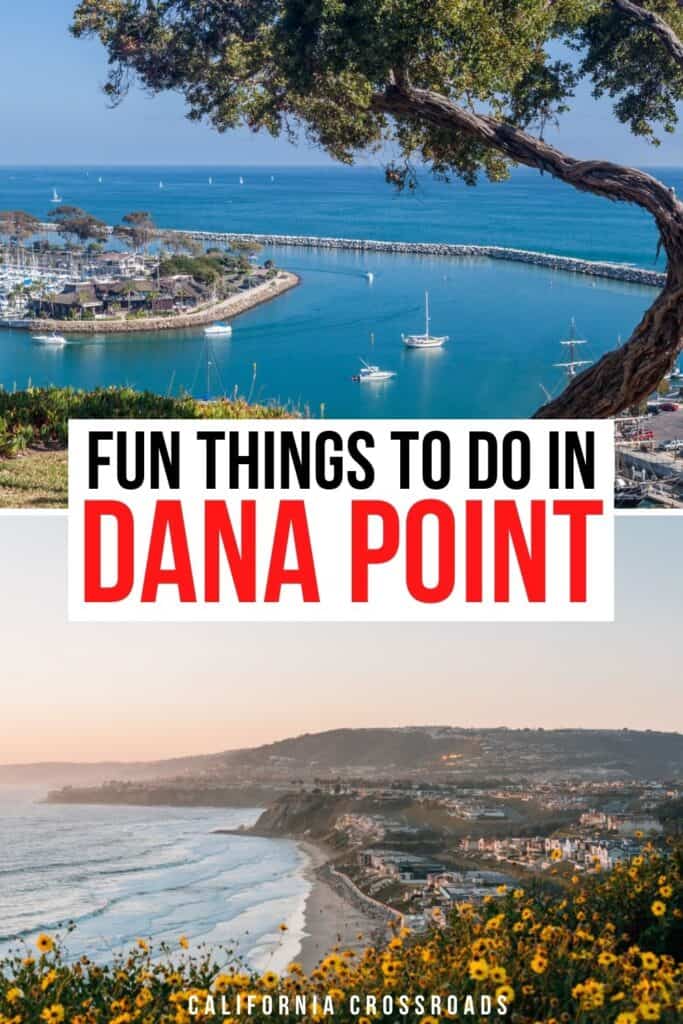 Things To Do In Dana Point CA