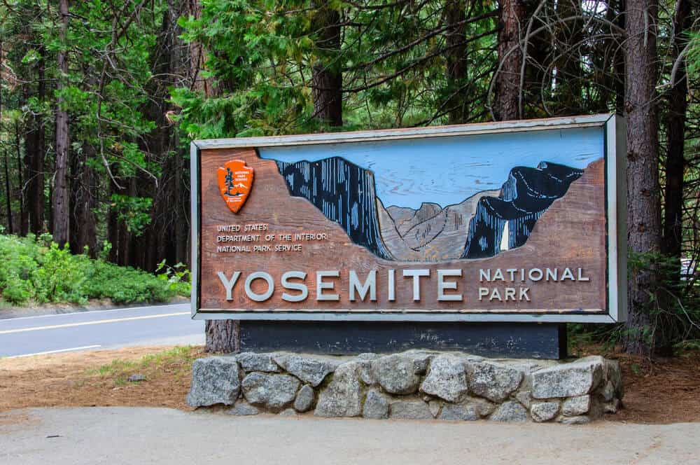 Yosemite entrance sign showing a wood carving of the valley, located on the side of the road amongst trees.