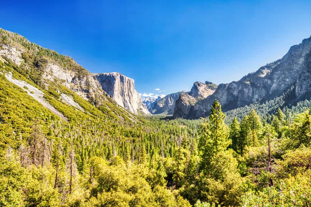 the famous yosemite valley with lots of trees and cliffs and granite mountains