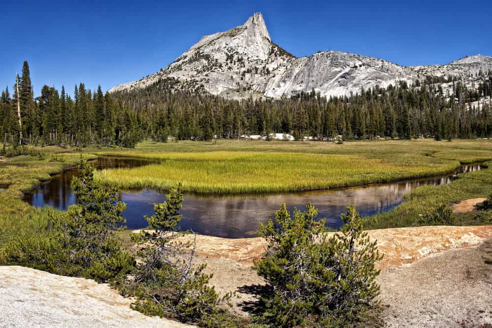 Tuolumne River with meadow with Cathedral Peak in the distance.