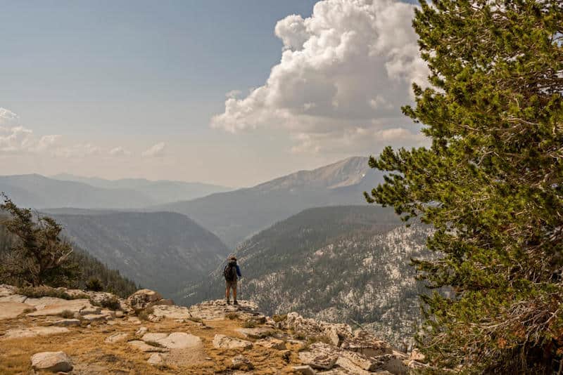 a hiker looking over a wide open canyon below with mountains dotted with trees