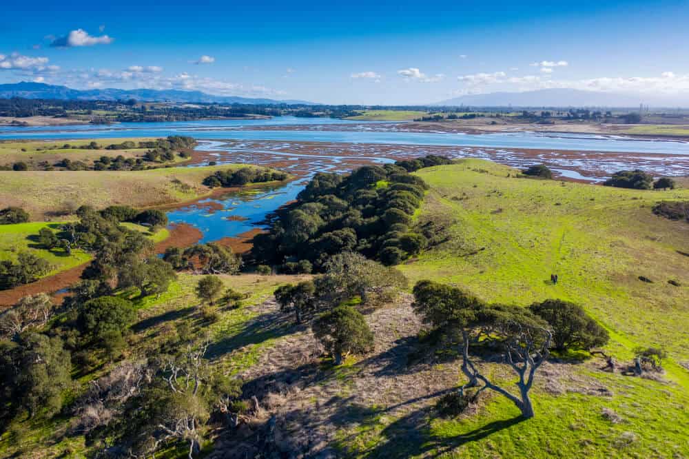 Aerial View of Elkhorn Slough, Moss Landing, California. Elkhorn Slough is a 7-mile-long tidal slough and estuary on Monterey Bay.