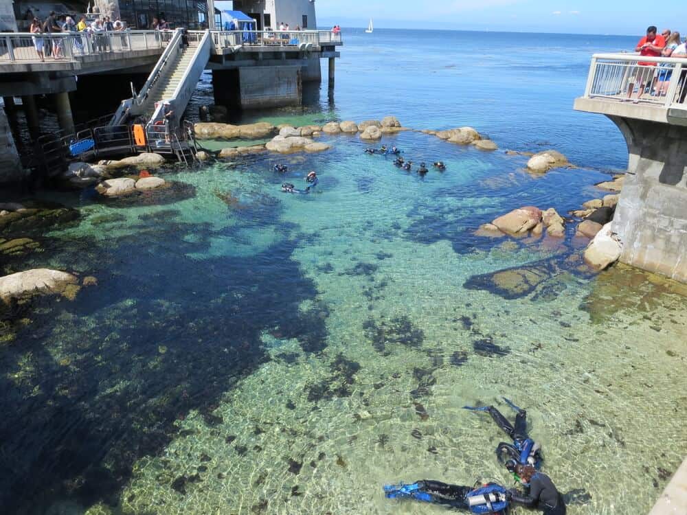 People learning to scuba dive with instructor assistance in the turquoise waters near Fishermans Wharf in Monterey