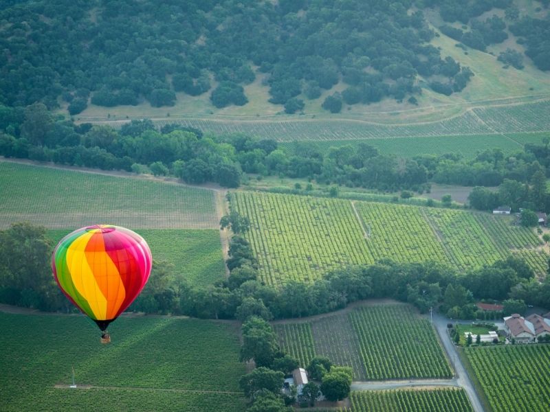 hot air balloon over a vineyard in napa