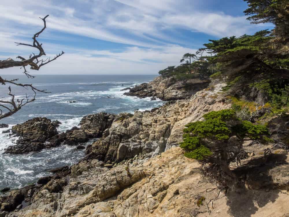 Pebble Beach along 17 Mile Drive - rocky coastline with trees and blue streaked sky with clouds