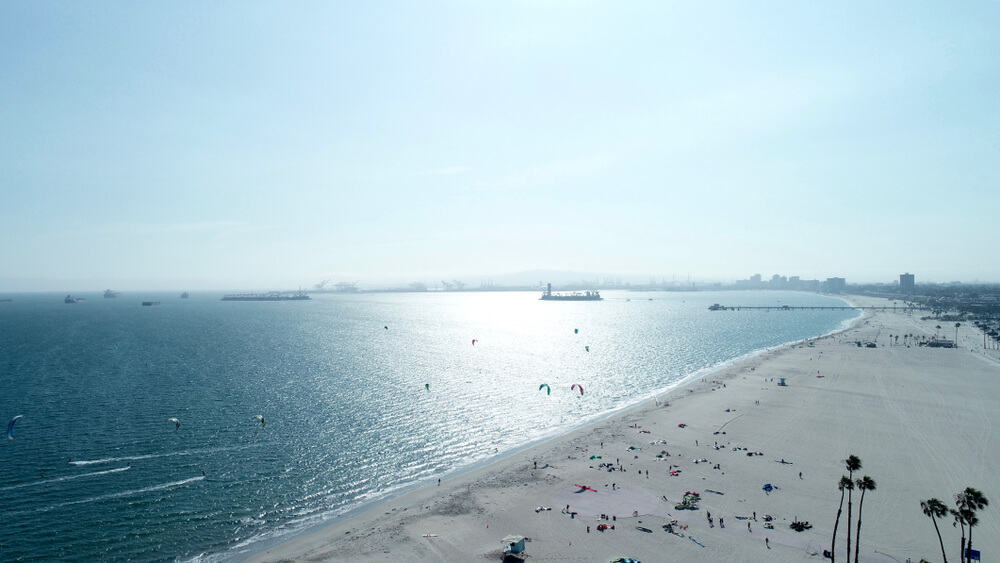 sandy beach with dogs playing on it, aerial view over it with palm trees and boats in the distance