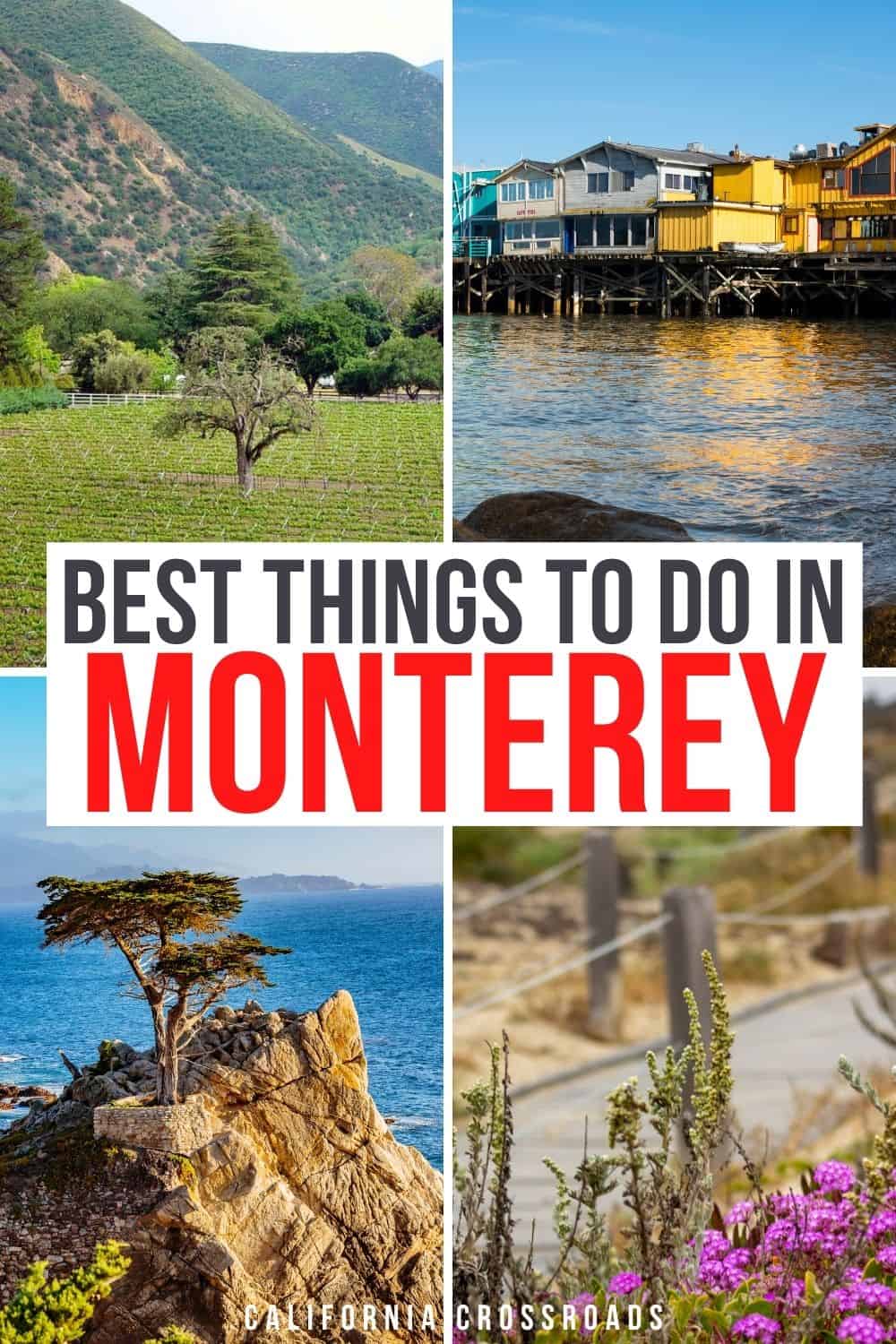 21 Magnificent Things to Do in Monterey, California - California Crossroads