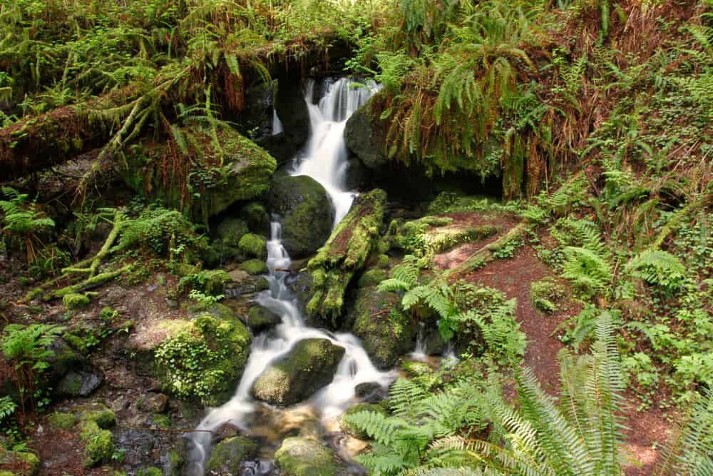 a waterfall in the redwood national park complex