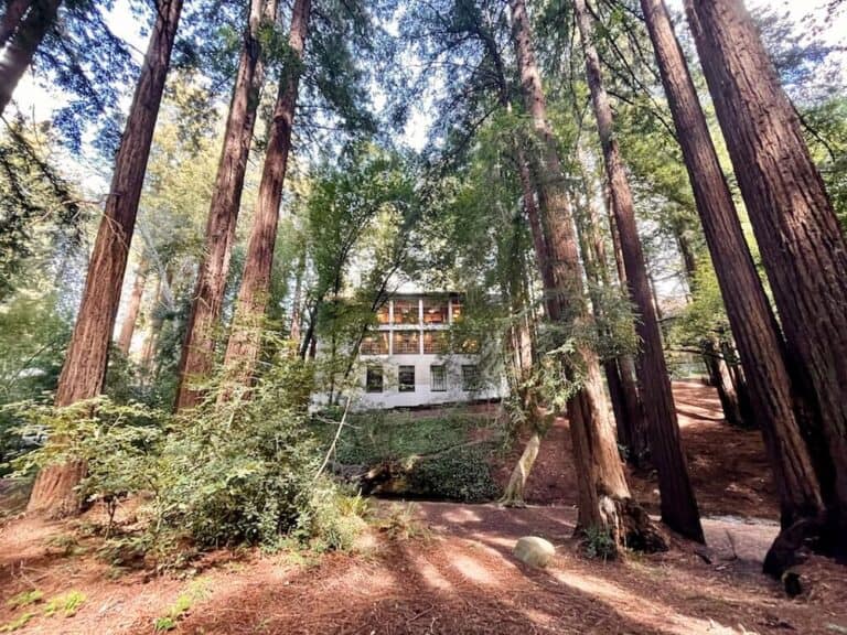 13 Marvelous Things to Do in Mill Valley, CA A Great Day Trip from SF