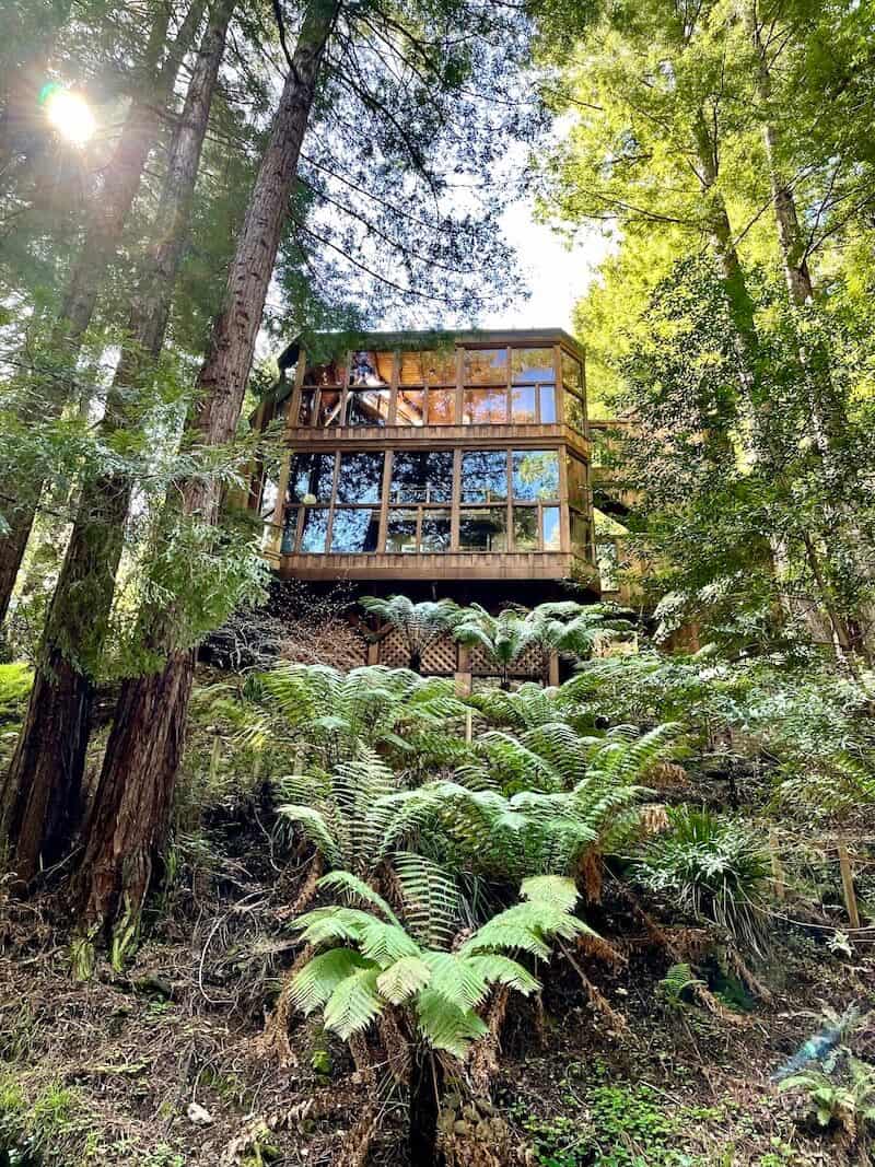 13 Marvelous Things to Do in Mill Valley, CA A Great Day Trip from SF