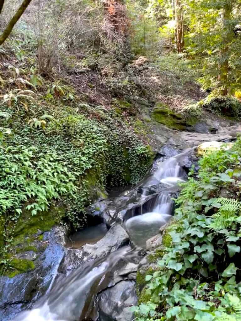 waterfalls in mill valley california in marin county