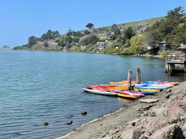 9 Joyful Things to Do in Jenner, CA California Crossroads