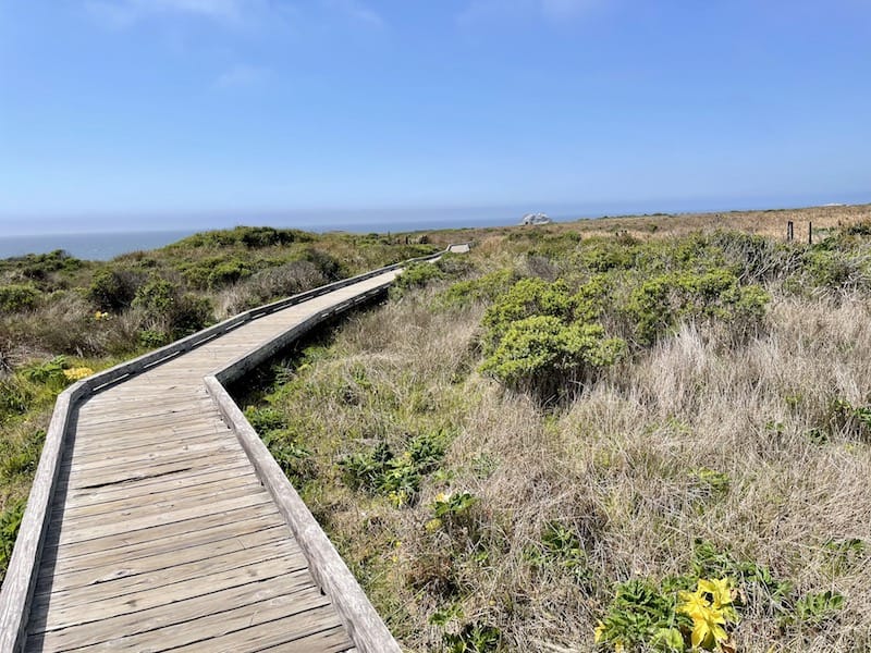 a boardwalk on the kortum trail winding through the grasslands