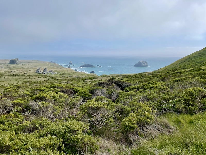 view of the start of the kortum trail