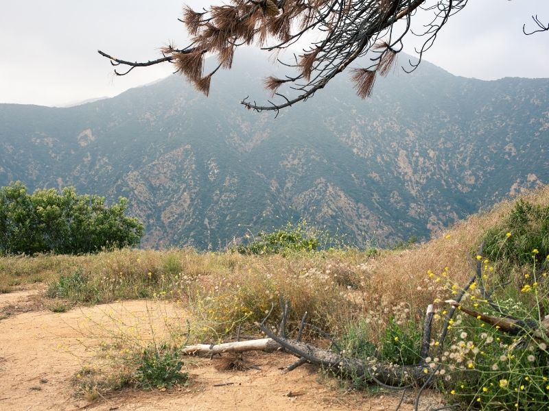 eaton canyon is a popular bat-seeing destination in california 