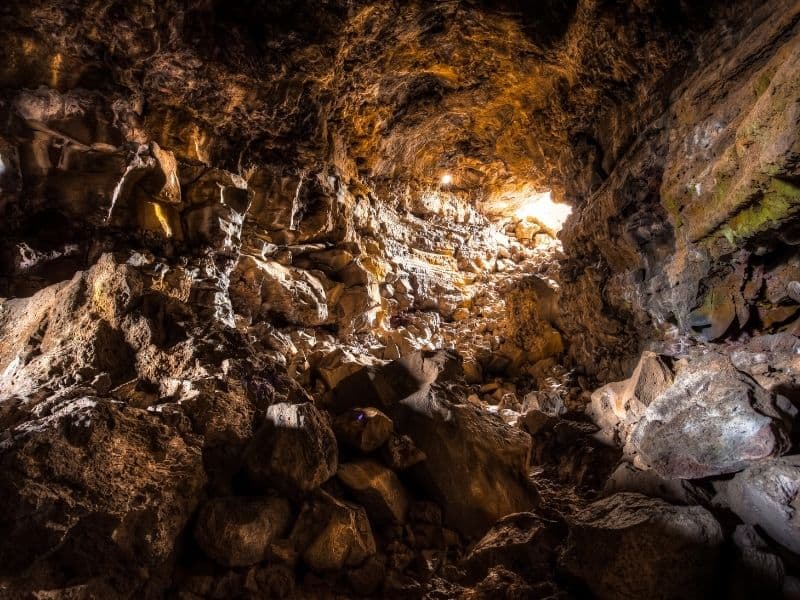 a cave system where california bats like to live and hibernate