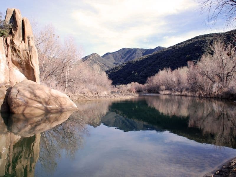 los padres national forest location, a popular site for bats in california