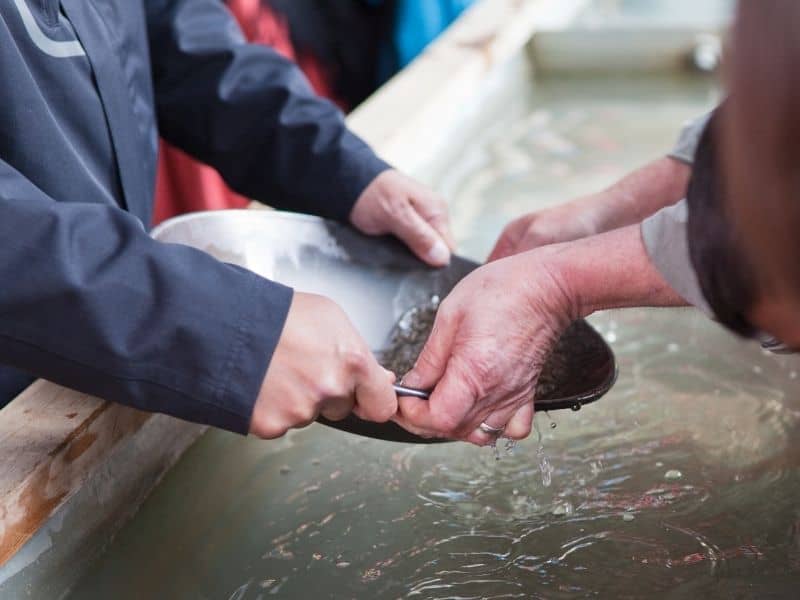 a family gold panning in california on vacation